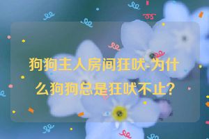 狗狗主人房间狂吠-为什么狗狗总是狂吠不止？