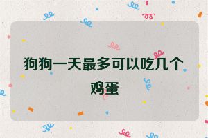 狗狗一天最多可以吃几个鸡蛋