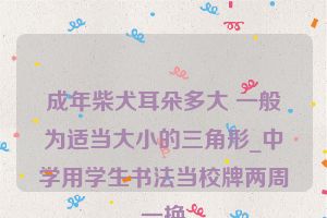 成年柴犬耳朵多大 一般为适当大小的三角形_中学用学生书法当校牌两周一换