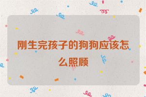 刚生完孩子的狗狗应该怎么照顾