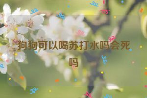 狗狗可以喝苏打水吗会死吗