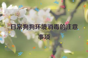 日常狗狗环境消毒的注意事项