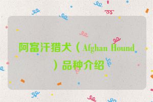 阿富汗猎犬（Afghan Hound）品种介绍