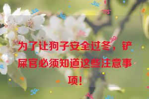 为了让狗子安全过冬，铲屎官必须知道这些注意事项！