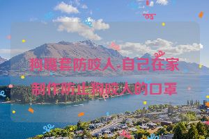 狗嘴套防咬人-自己在家制作防止狗咬人的口罩