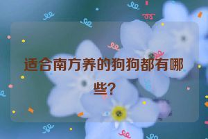 适合南方养的狗狗都有哪些？