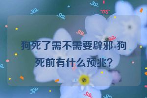 狗死了需不需要辟邪-狗死前有什么预兆？