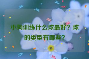 小狗训练什么球最好？球的类型有哪些？