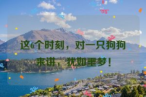 这6个时刻，对一只狗狗来讲，犹如噩梦！