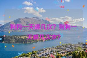 狗狗一天喂几次？狗狗一天喂几次水？