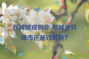 双城城成狗业-双城是双城市还是双城县？