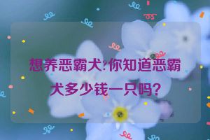 想养恶霸犬?你知道恶霸犬多少钱一只吗?