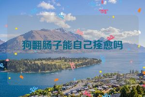 狗翻肠子能自己痊愈吗