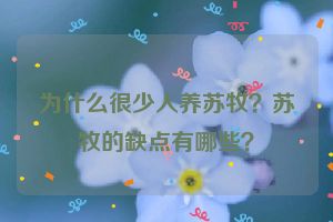 为什么很少人养苏牧？苏牧的缺点有哪些？