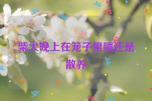 柴犬晚上在笼子里睡还是散养