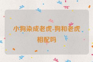 小狗染成老虎-狗和老虎相配吗