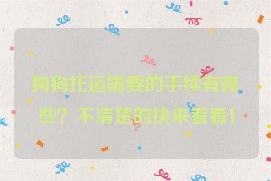 狗狗托运需要的手续有哪些？不清楚的快来看看！
