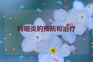 狗咽炎的预防和治疗