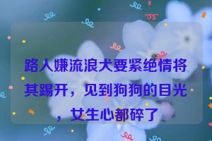 路人嫌流浪犬要紧绝情将其踢开，见到狗狗的目光，女生心都碎了