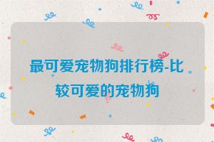 最可爱宠物狗排行榜-比较可爱的宠物狗