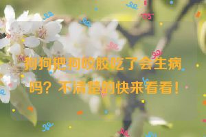 狗狗把狗咬胶吃了会生病吗？不清楚的快来看看！