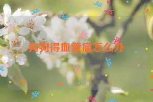 狗狗得血管瘤怎么办