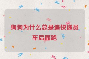 狗狗为什么总是追快递员车后面跑