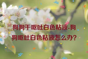 狗狗干呕吐白色粘液-狗狗呕吐白色粘液怎么办？