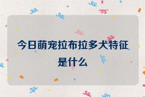 今日萌宠拉布拉多犬特征是什么