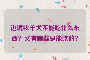 边境牧羊犬不能吃什么东西？又有哪些是能吃的？