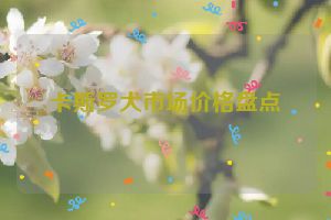 卡斯罗犬市场价格盘点