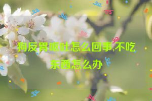 狗反胃呕吐怎么回事,不吃东西怎么办