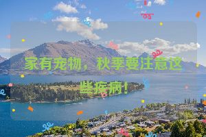 家有宠物，秋季要注意这些疾病！