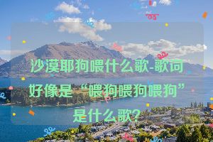沙漠耶狗喂什么歌-歌词好像是“喂狗喂狗喂狗”是什么歌？