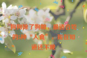 狗狗除了狗粮，最适合吃的5种“人食”，现在知道还不晚