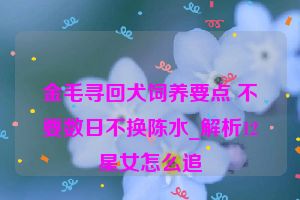 金毛寻回犬饲养要点 不要数日不换陈水_解析12星女怎么追