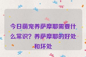 今日萌宠养萨摩耶需要什么常识？养萨摩耶的好处和坏处