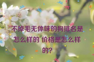 不掉毛无体味的狗排名是怎么样的 价格是怎么样的？