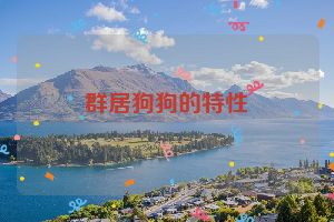 群居狗狗的特性
