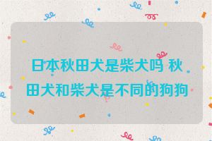 日本秋田犬是柴犬吗 秋田犬和柴犬是不同的狗狗