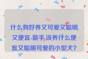 什么狗好养又可爱又聪明又便宜-新手,该养什么便宜又聪明可爱的小型犬？