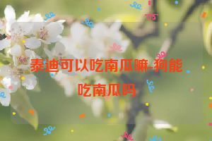 泰迪可以吃南瓜嘛-狗能吃南瓜吗