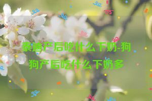 泰迪产后吃什么下奶-狗狗产后吃什么下奶多