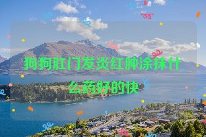狗狗肛门发炎红肿涂抹什么药好的快