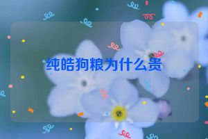 纯皓狗粮为什么贵