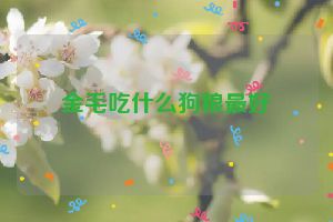 金毛吃什么狗粮最好