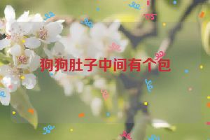 狗狗肚子中间有个包