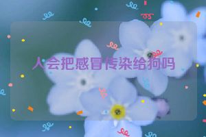 人会把感冒传染给狗吗