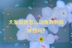 大家知道怎么训练狗狗捡东西吗？