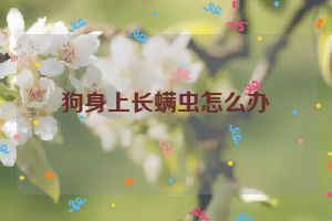 狗身上长螨虫怎么办